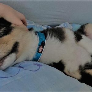 Einfach Kuscheln weil darum.