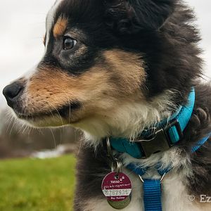 4 von 5 Fotoshooting versuche von mir selbst <3