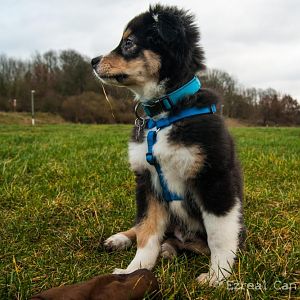 5 von 5 Fotoshooting versuche von mir selbst <3