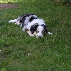 3007809F 277B 49C0 BF29 550E120FCE8D