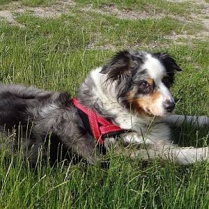 2016.DSC01750.50.bea.