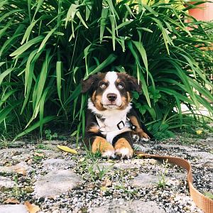 4C4CB0FA 4B00 4D31 8959 54CE90E1FB4F