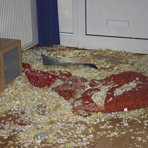 Kollateralschäden....