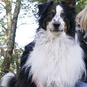 Hockendes Weib (Sandstein)