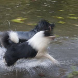 Wasser.... aber nur bis zum Bauch