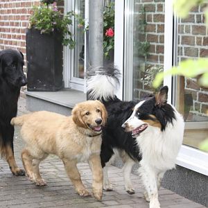 Mit Scotty und Halbschwester