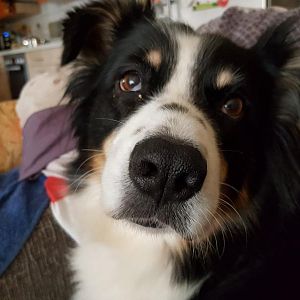 WhatsApp Image 2018 06 25 at 12.56.02(1)