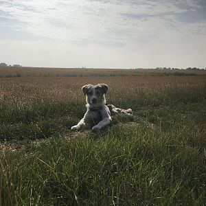 DE38A67F 3B49 4317 8A42 1C9A3E86F2A0