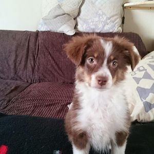 DSC 20180502162218296 portrait style SoftSkin