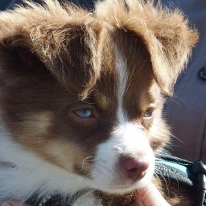 P9109690-1 - Kopie (2).jpg