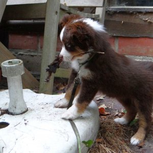 Leas Kampf mit dem ausgedienten Sonnenschirmständer
