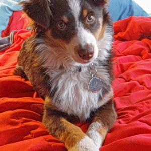 Lea - beinahe 1/2 Jahr "alt"