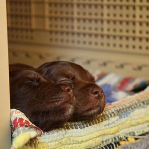 249854 231984790148958 100000123178483 1131331 5168756 n