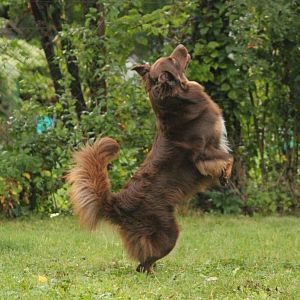 556447 10152056662660063 785405163 n