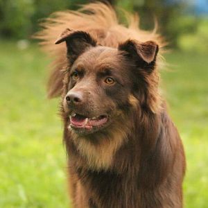 419229 10152056664845063 141606143 n