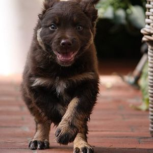 68950 10150294858235063 837997 n