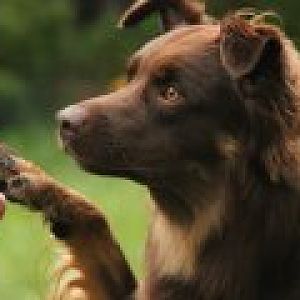 528098 10152056664595063 1947660901 a