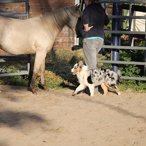 Amy und Heza Power Chigger
