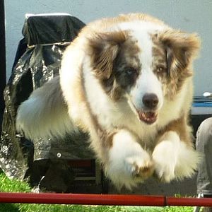 2012 09 02 16.01.15 2B