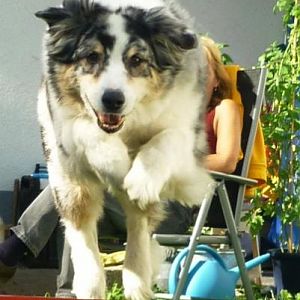 2012 09 02 15.55.30 1