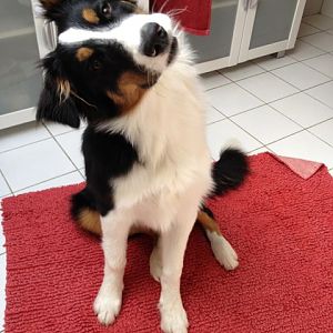 totale Schräghaltung