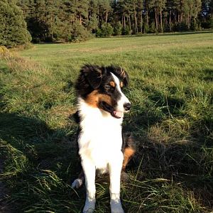 cool in der Abendsonne