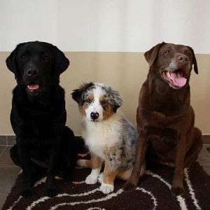 601196 421396521216448 466483900 n