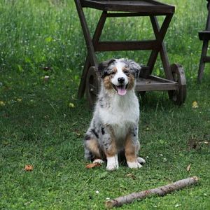 556410 420253944664039 1415989001 n