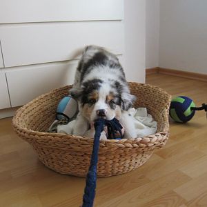 408540 343881792370452 1250776350 n