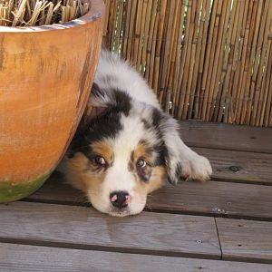 483009 341688032589828 884660383 n