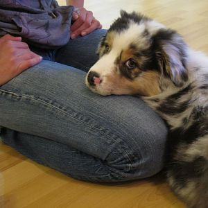 561527 340249162733715 22936443 n