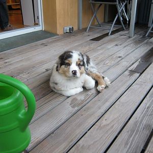 309195 340249036067061 1318205818 n