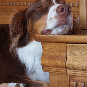 und noch eine Schnarchnase, braucht auch gaaaaaaaanz wenig Platz :)