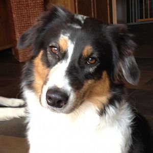 Frieda