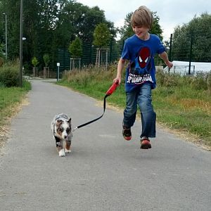 IMG 20120830 153323 1