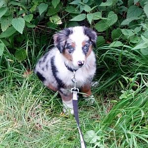 IMG 20120906 125522 1