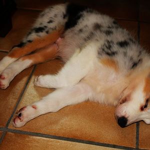 Spielen mach sooo müde...