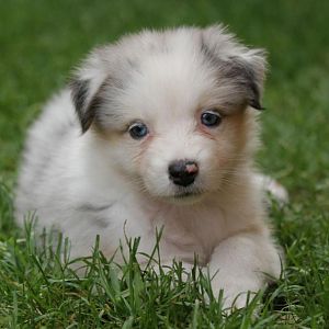 da war ich noch klein