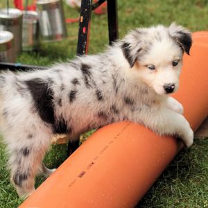 Hmmm was gibts denn da???