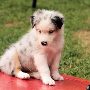 Uiuiui ist das aber wackelig