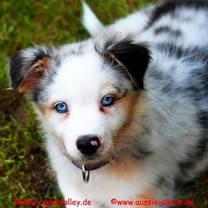 Hab ich nicht schöne Augen?