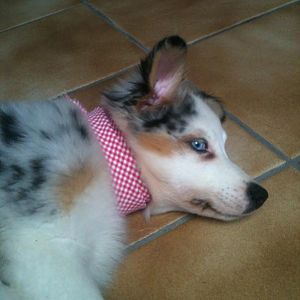 Oktoberfest kann kommen