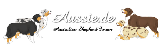 Aussie.de - Australian Shepherd Forum