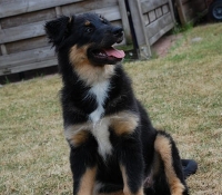 An Angels Release Me