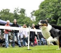 Blue Mountains HEART OF LOVE 