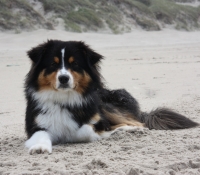 great-power-alec - Black Tri