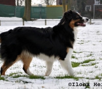 magic-delight-crazy-witch - Black Tri