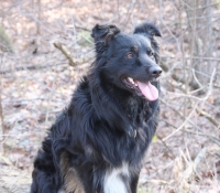 Martins-Magic-Moments Malu