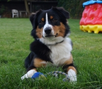 Stormy Valley Summer Feeling