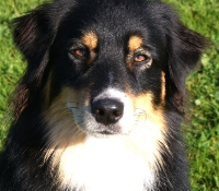 Streamvalleys Black Is Beautiful